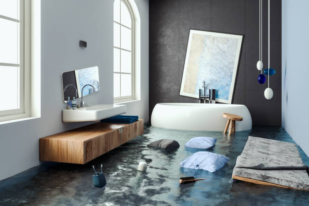 Best Local water damage restoration  in Belle Chasse, LA