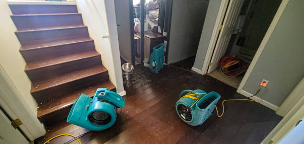Best Water damage contractors near me  in Belle Chasse, LA