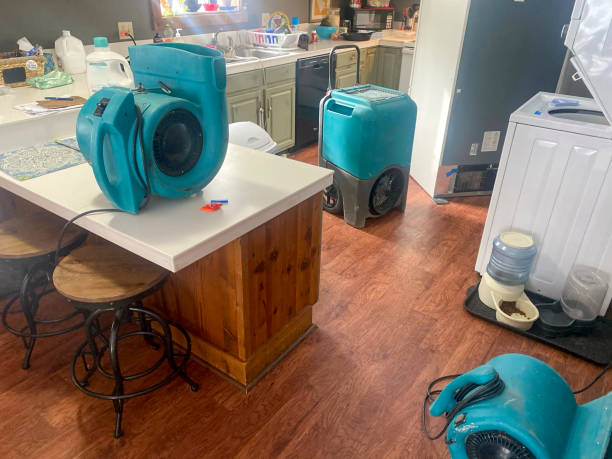 Best Water damage restoration near me  in Belle Chasse, LA