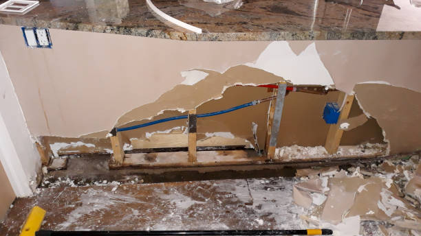 Best Water damage restoration company  in Belle Chasse, LA