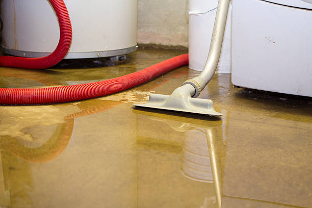 Reliable LA Water damage restoration Solutions