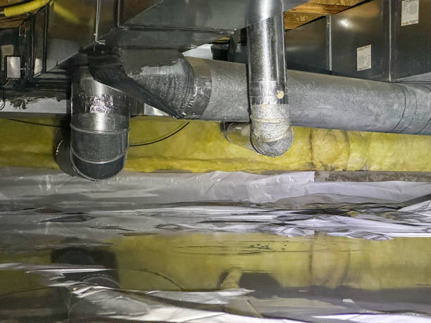 Best Emergency water damage restoration  in Belle Chasse, LA