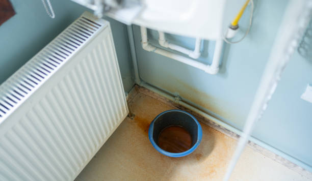 Best Water damage cleanup near me  in Belle Chasse, LA