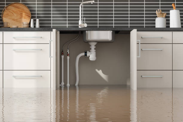 Water damage restoration experts in LA