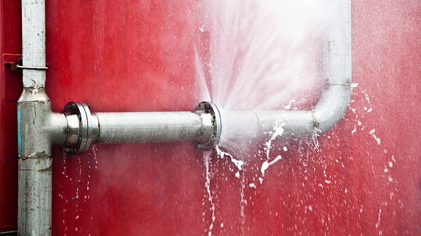 Best 24-hour water damage restoration  in Belle Chasse, LA