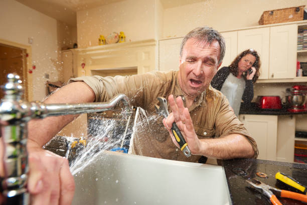 Best Mold removal after water damage  in Belle Chasse, LA